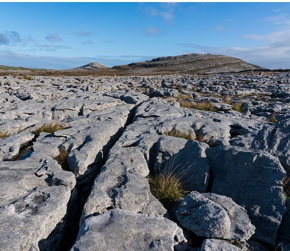 burren