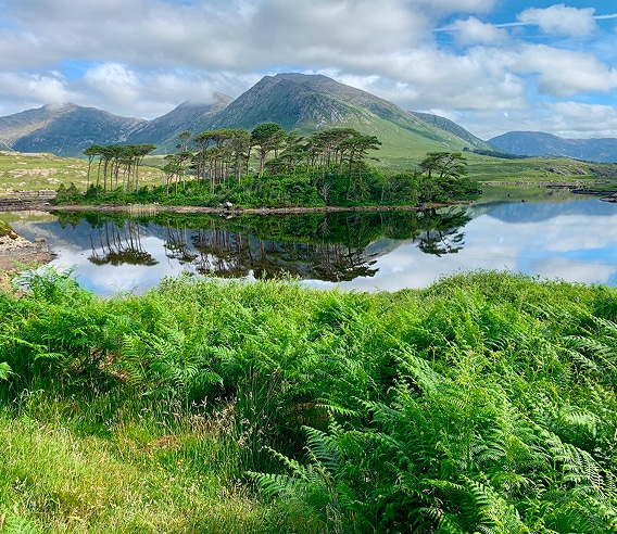 stunning views of connemara